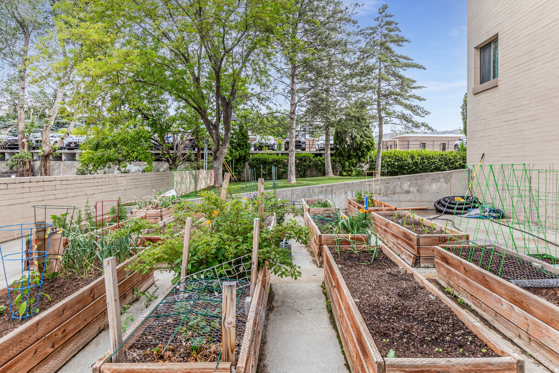 TOWNE PARK - Residential