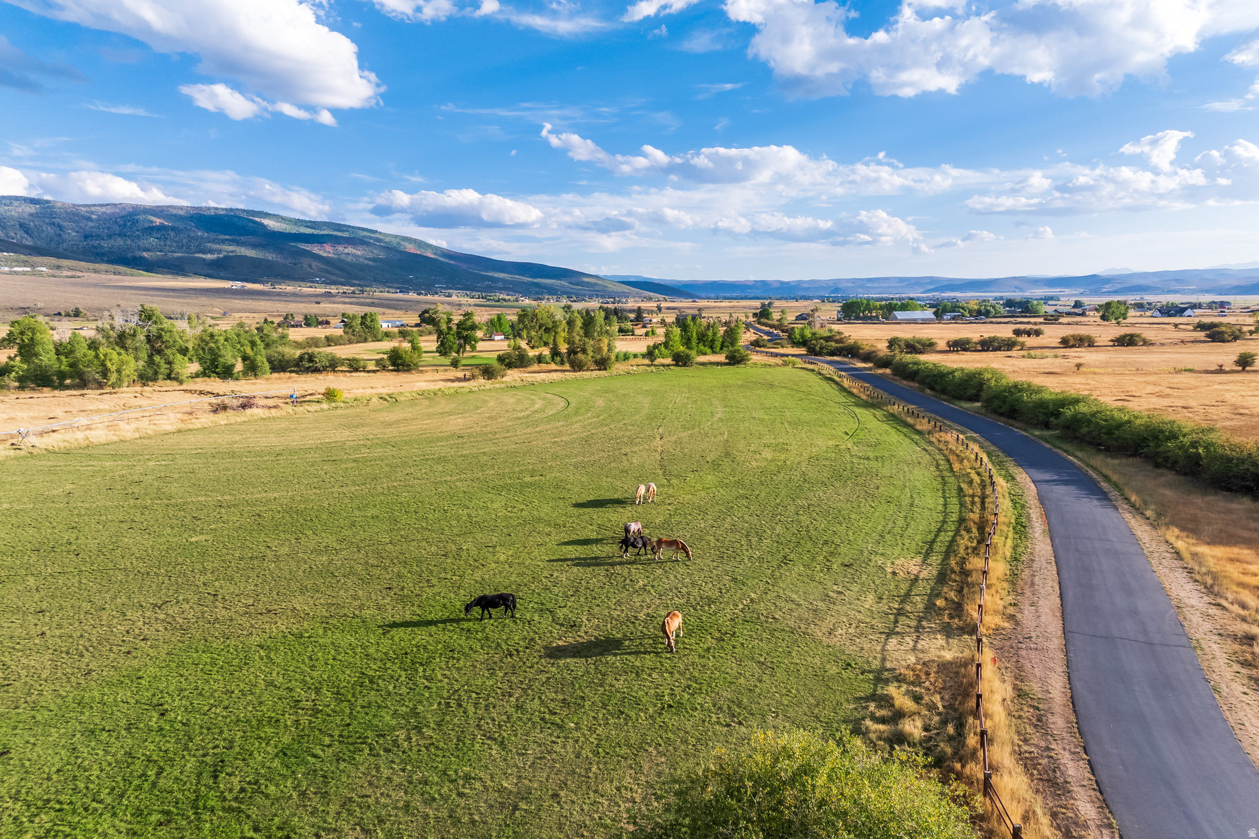 OAKLEY TOWN (BOULDERVILLE) - Residential
