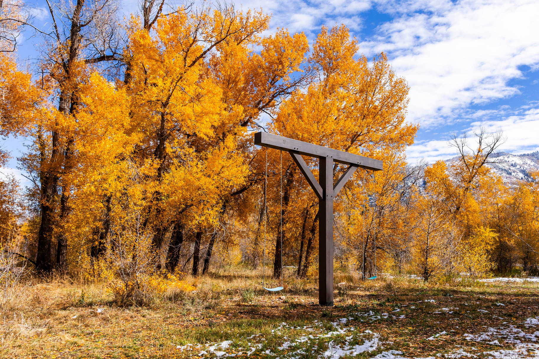 OAKLEY TOWN (BOULDERVILLE) - Residential
