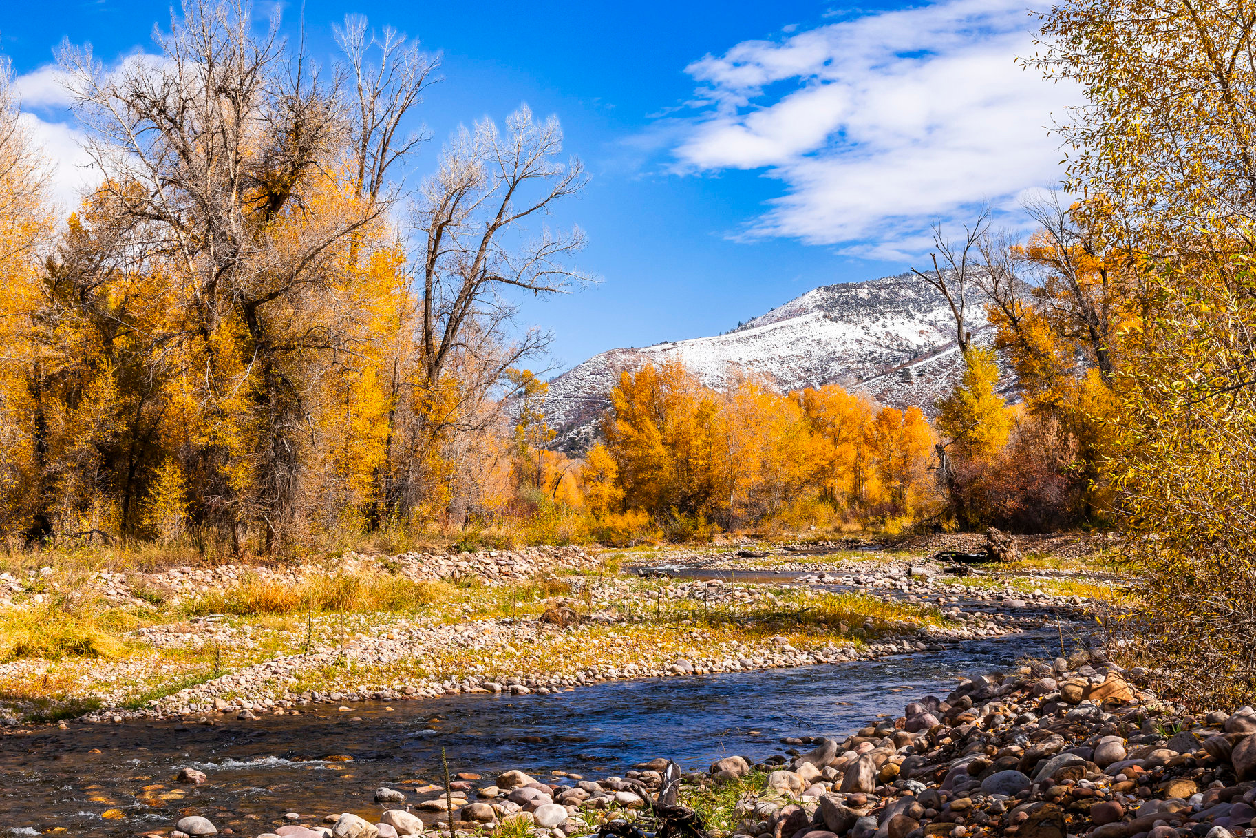 OAKLEY TOWN (BOULDERVILLE) - Residential