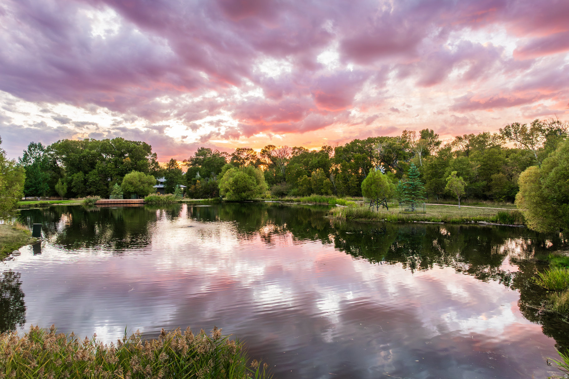 OAKLEY TOWN (BOULDERVILLE) - Residential