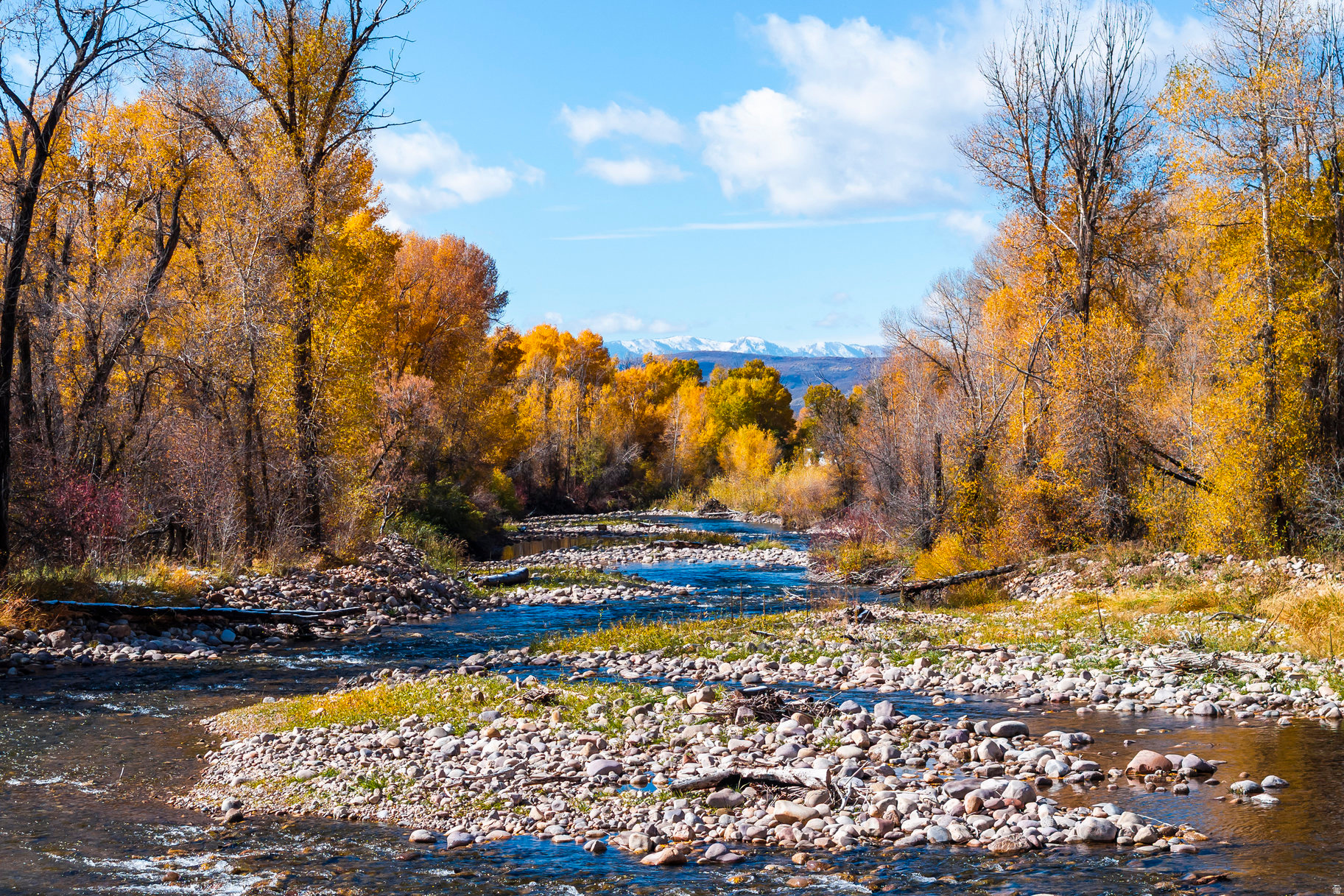 OAKLEY TOWN (BOULDERVILLE) - Residential