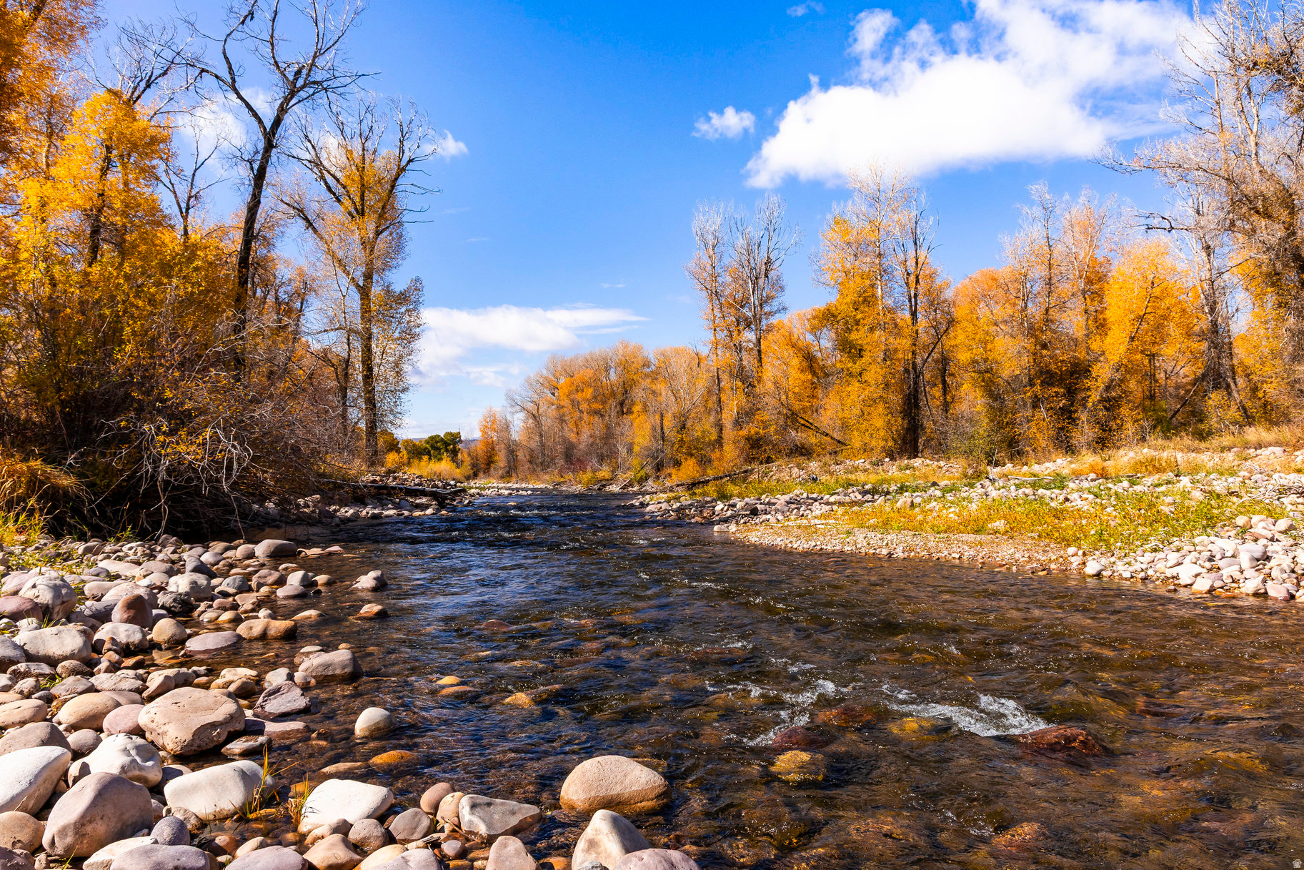 OAKLEY TOWN (BOULDERVILLE) - Residential