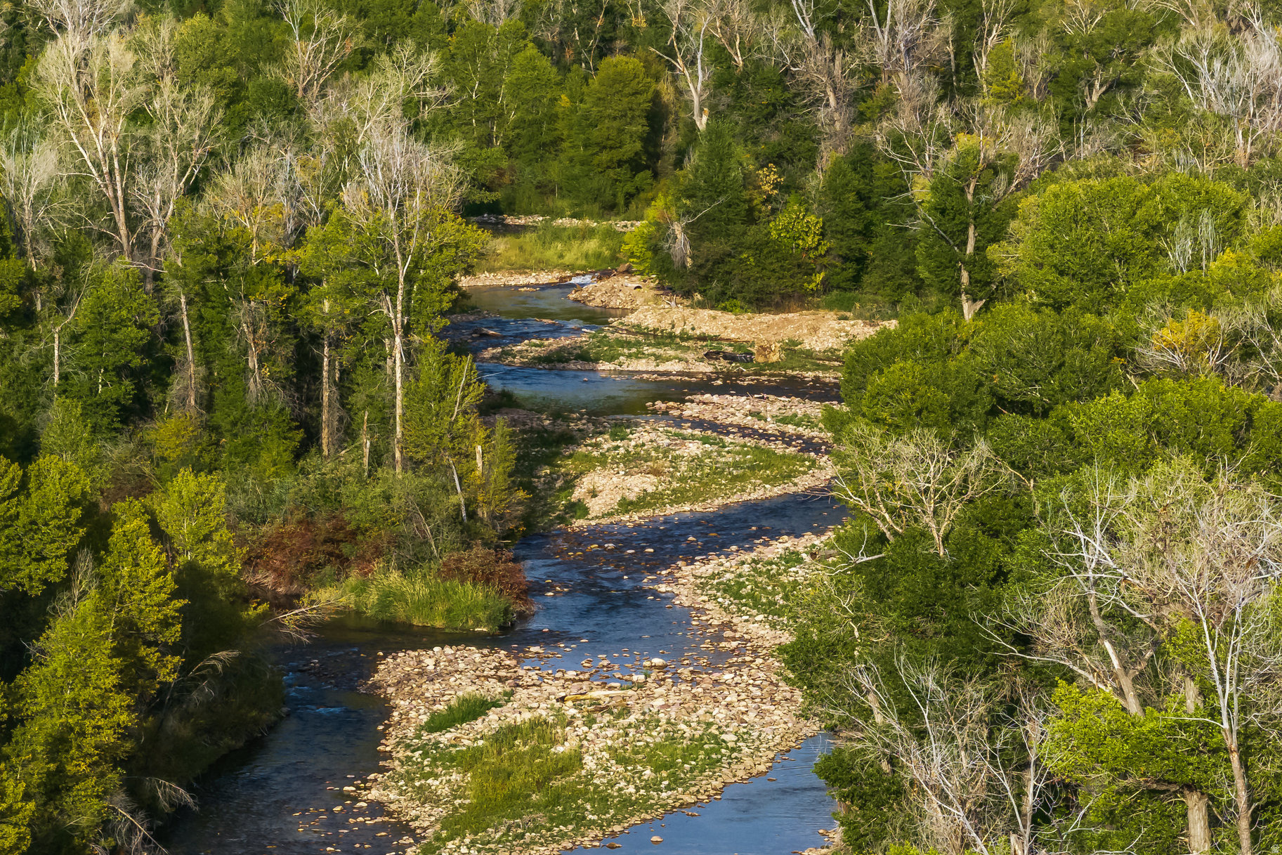 OAKLEY TOWN (BOULDERVILLE) - Residential