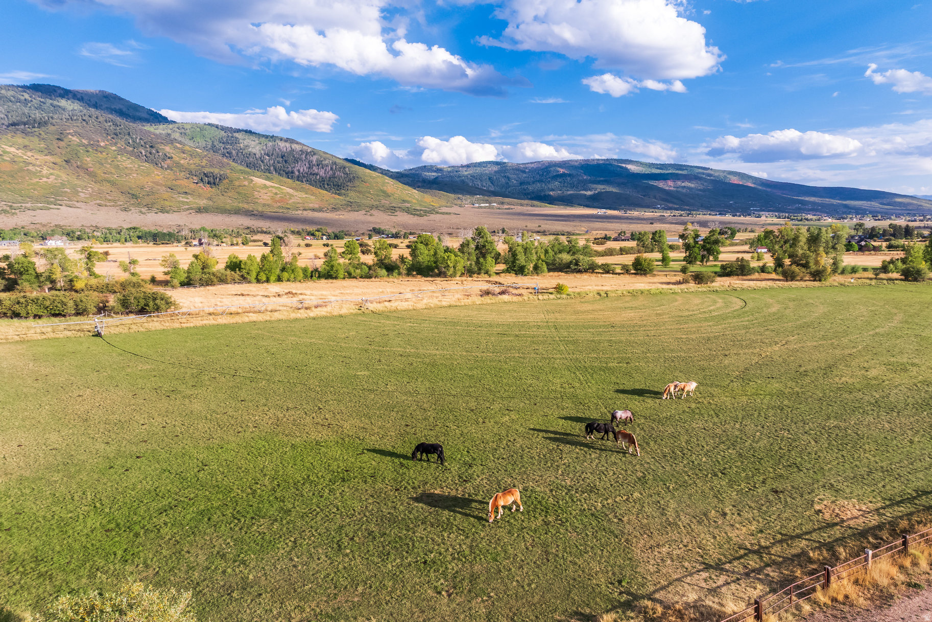 OAKLEY TOWN (BOULDERVILLE) - Residential