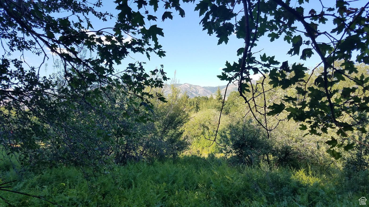 NORDIC VALLEY - Land