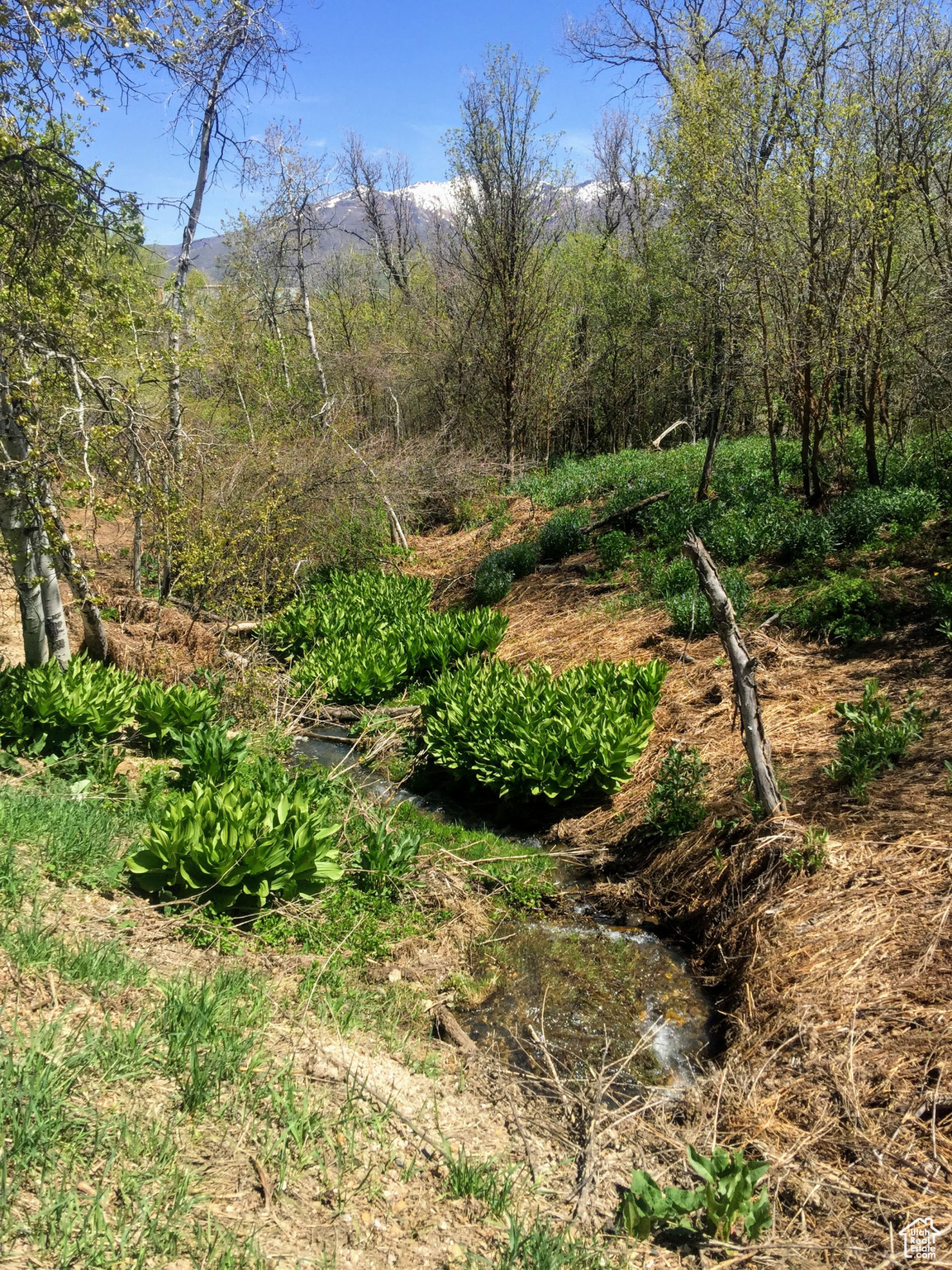 NORDIC VALLEY - Land