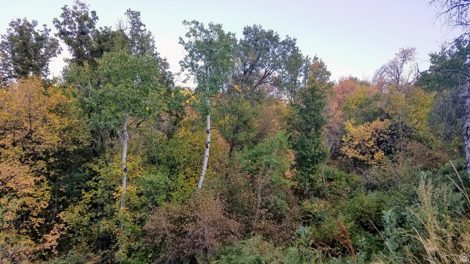 NORDIC VALLEY - Land