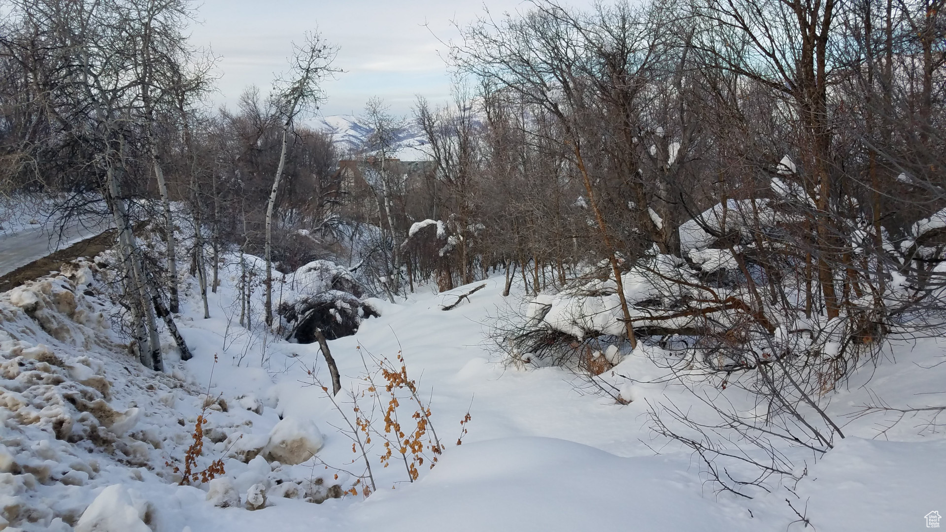 NORDIC VALLEY - Land