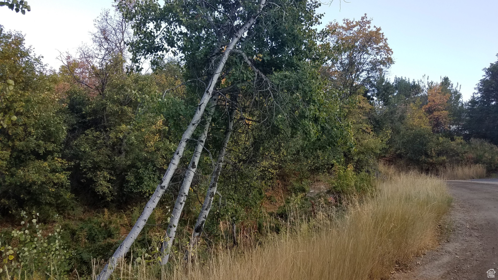 NORDIC VALLEY - Land