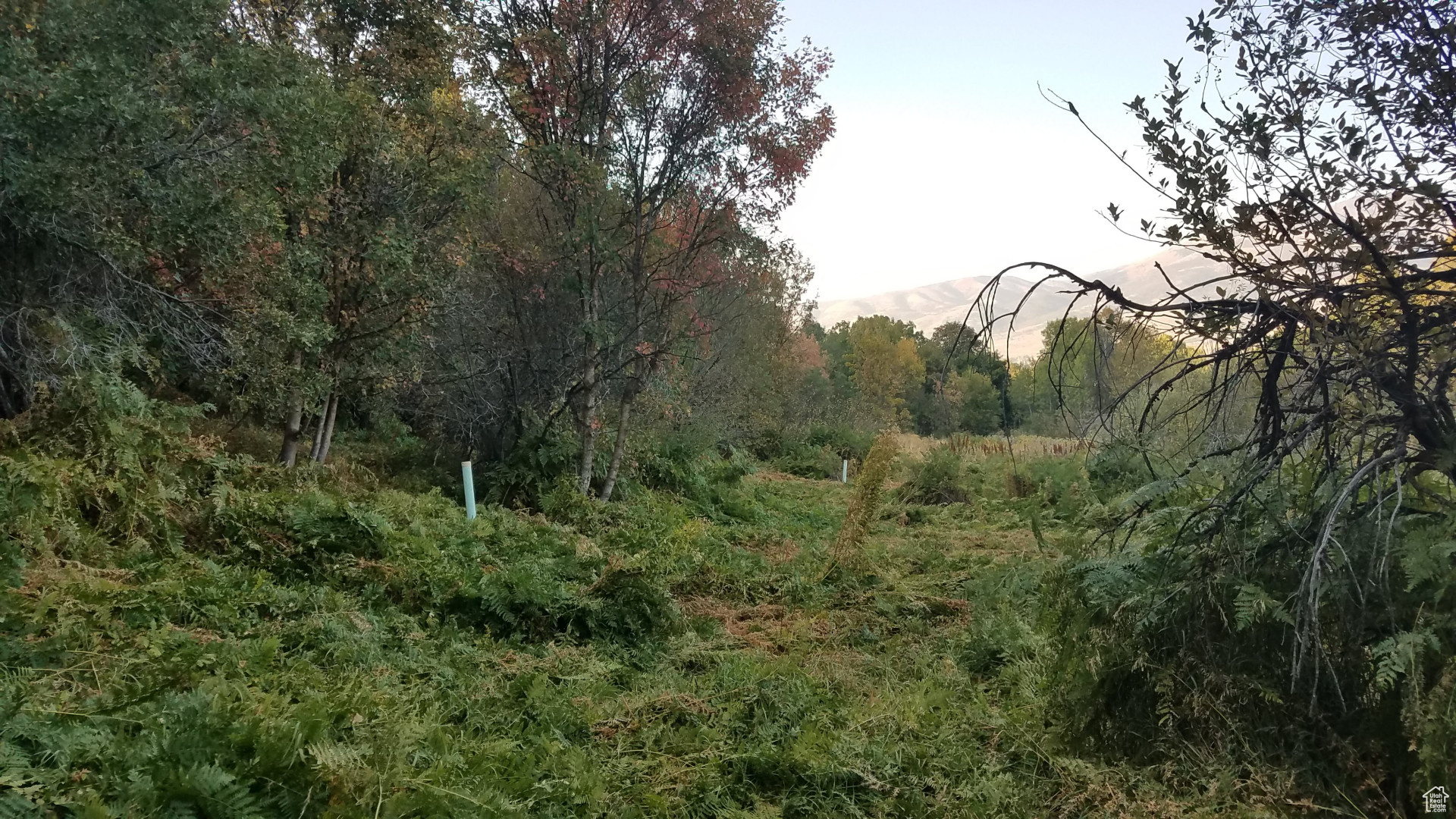 NORDIC VALLEY - Land