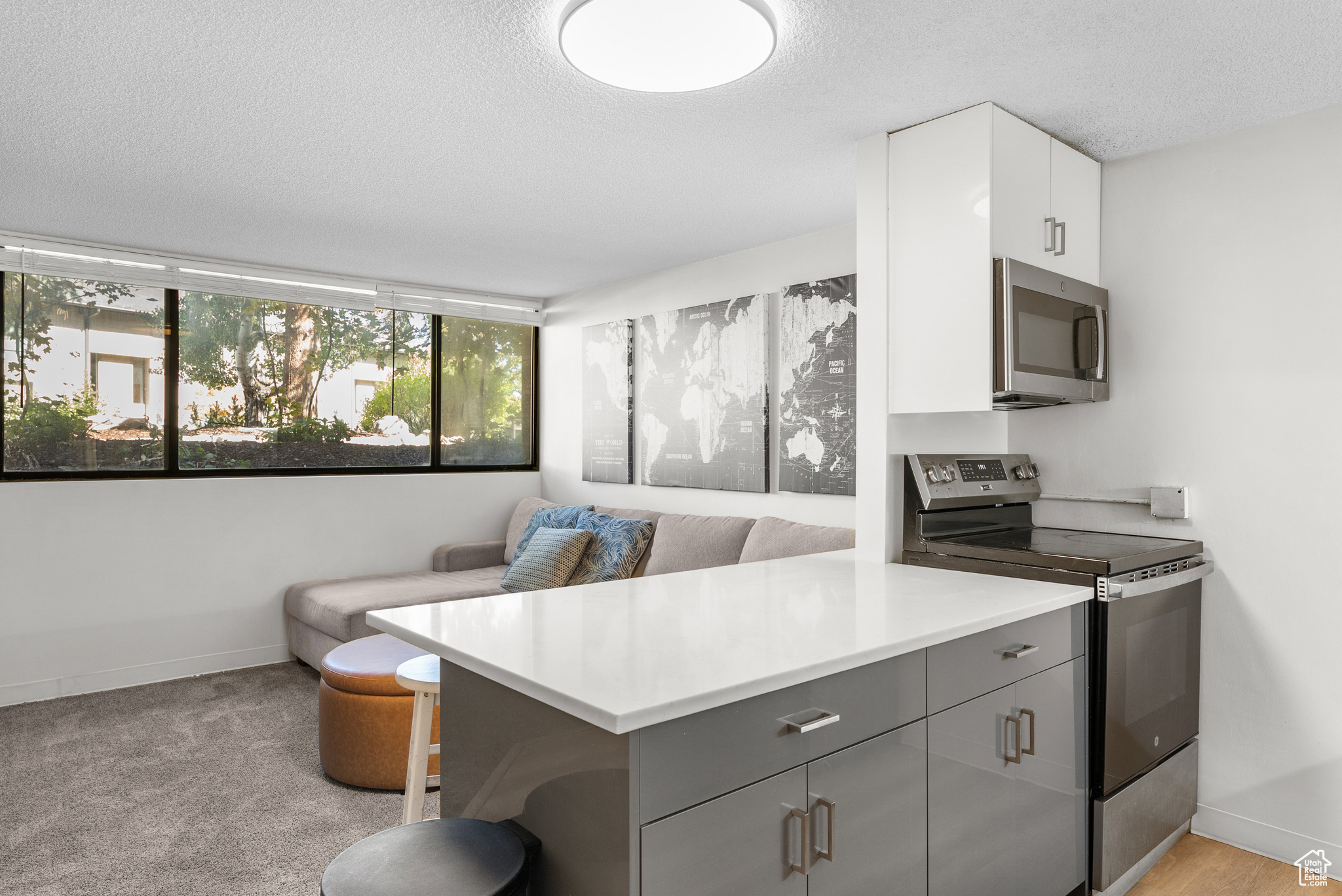 SNOW COUNTRY - Residential