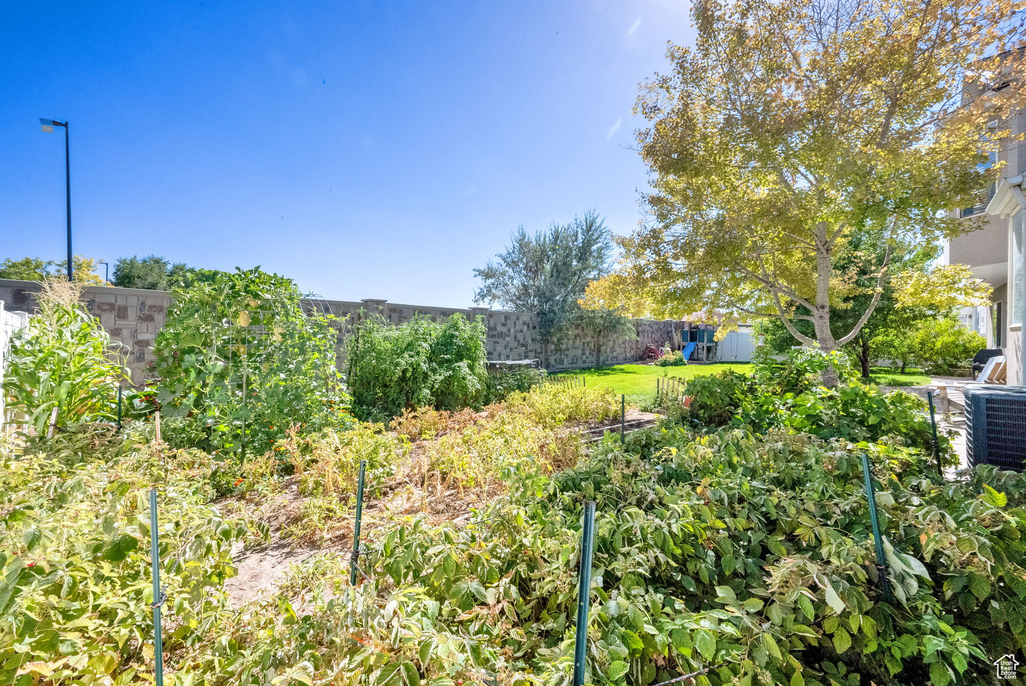 PHEASANT RIDGE - Residential