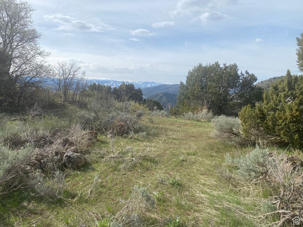 Photo of #7, Preston, ID 83263 (MLS # 2081328)