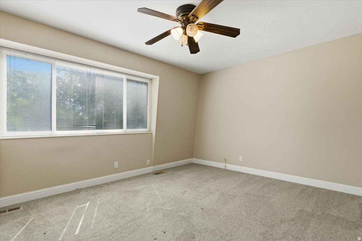 SILVER MAPLE - Residential