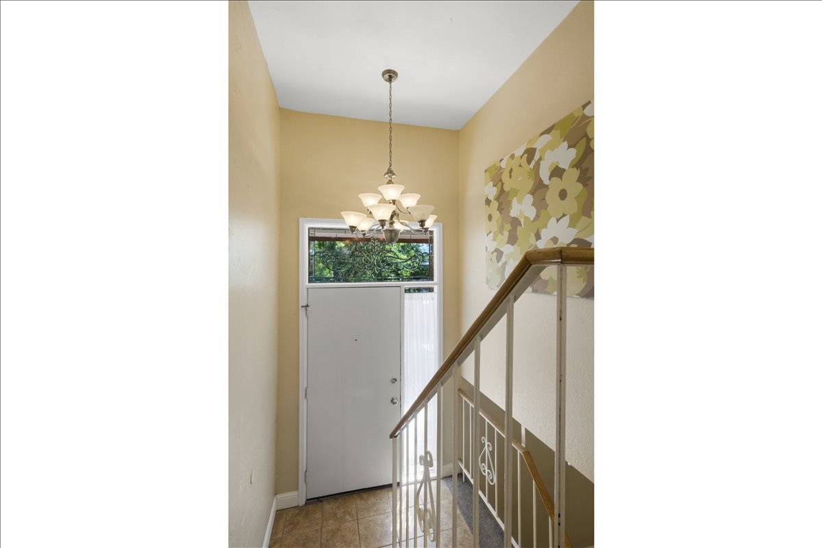 SILVER MAPLE - Residential