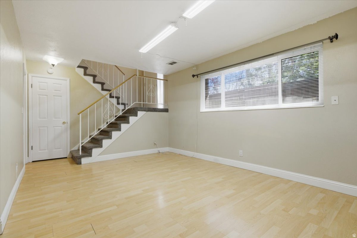 SILVER MAPLE - Residential