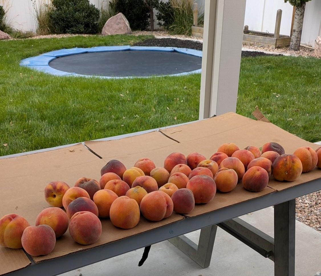 COPPER CREEK ESTATES - Residential