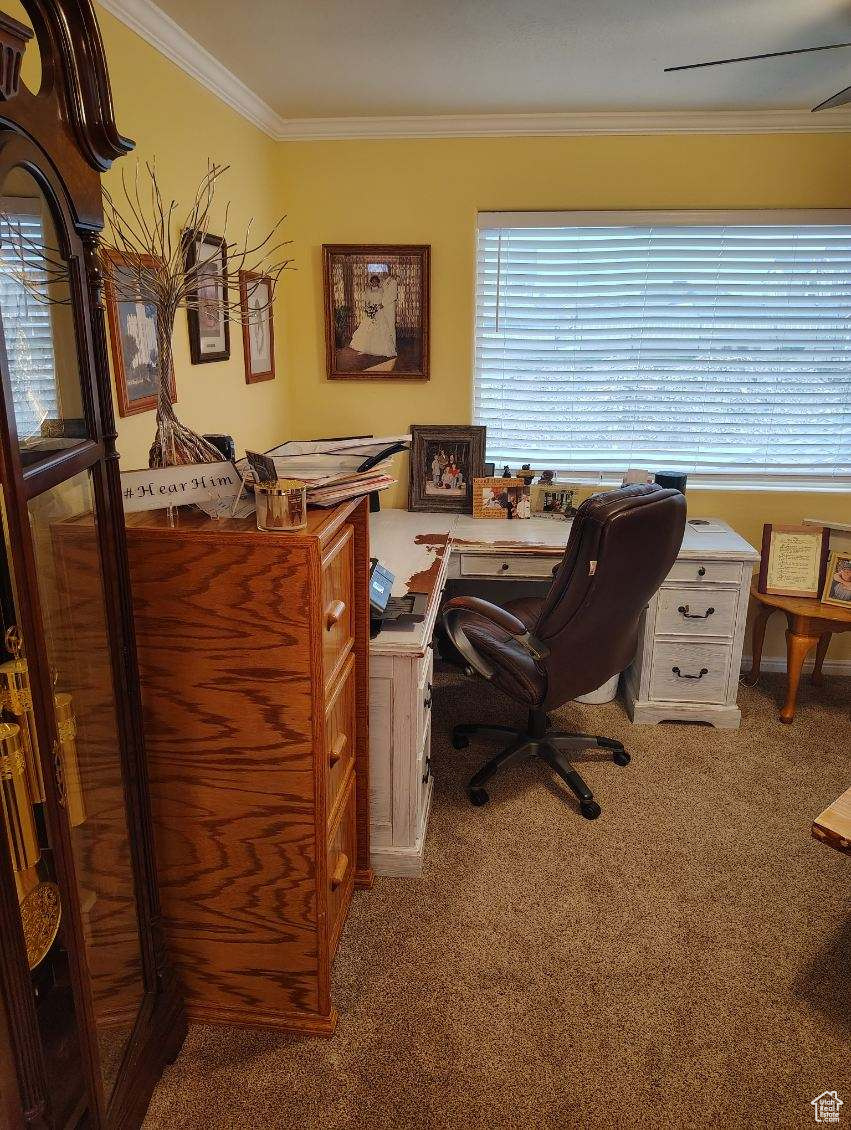 1854 N 120, Tooele, Utah image 35