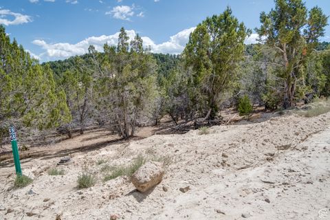 Tiny photo for #17, Indianola, UT 84629 (MLS # 2113134)