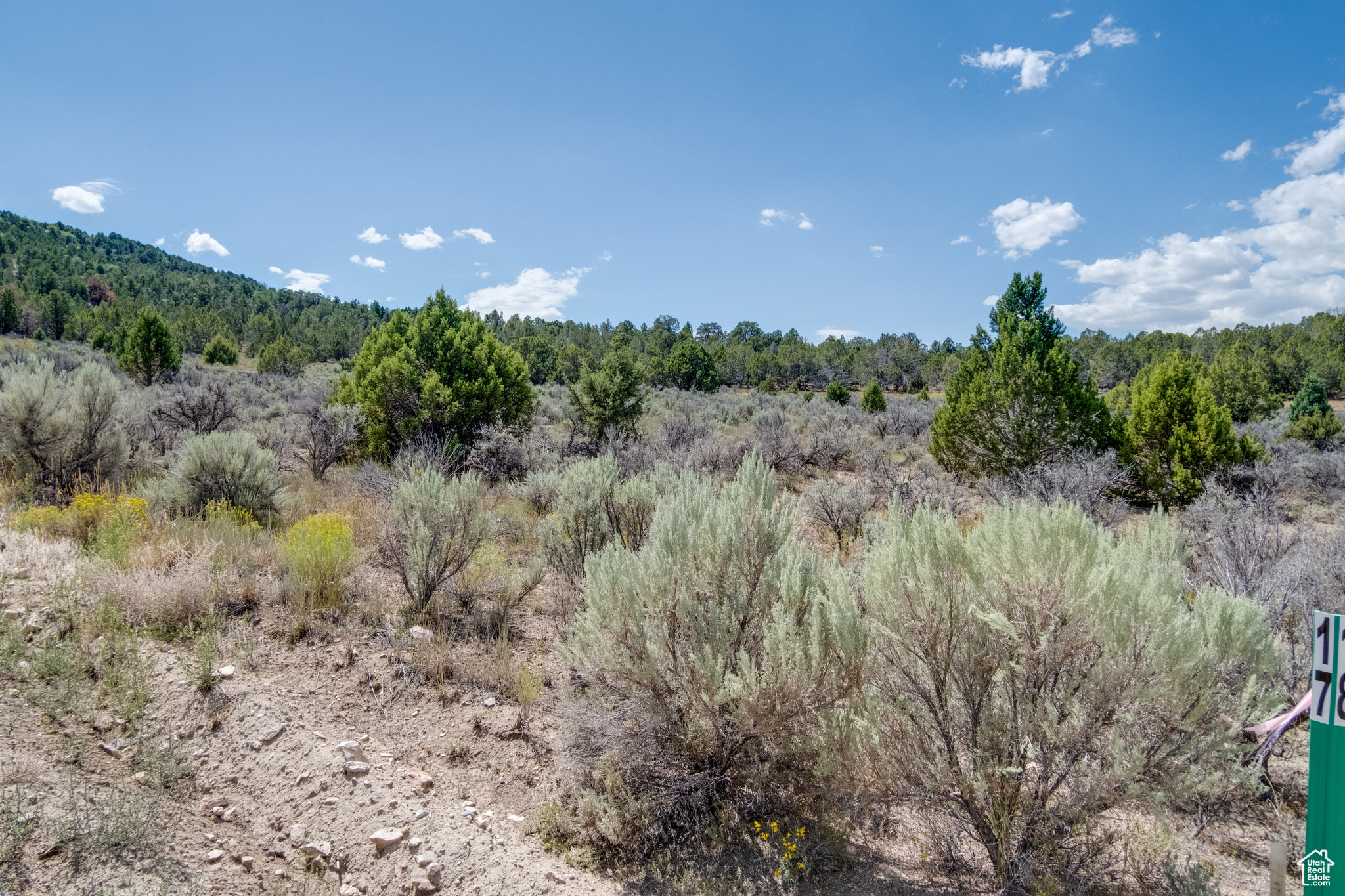 BLACKHAWK MNT - Land