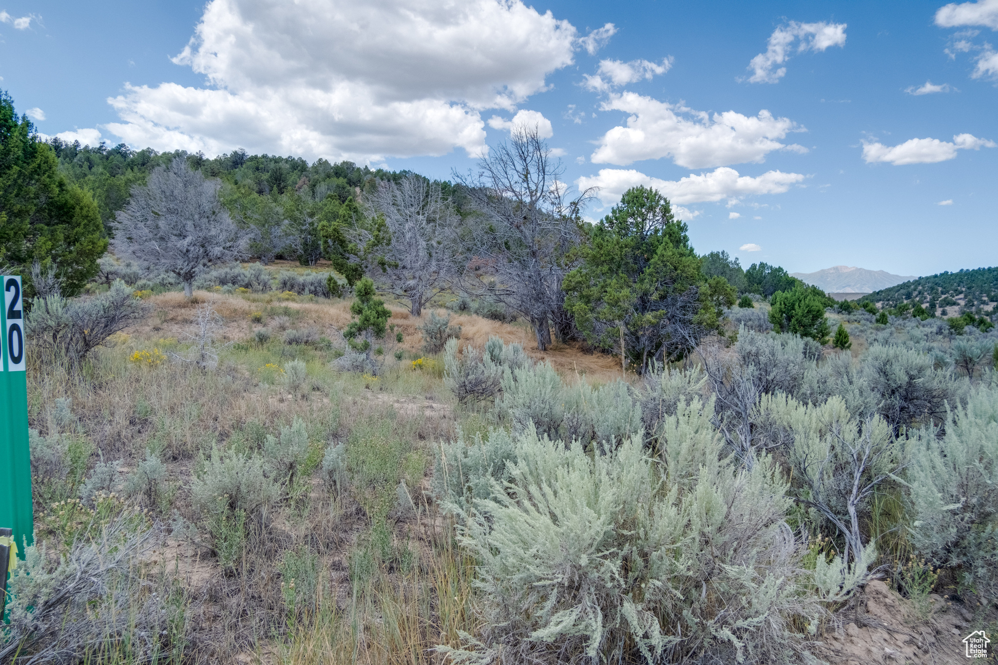 BLACKHAWK MNT - Land