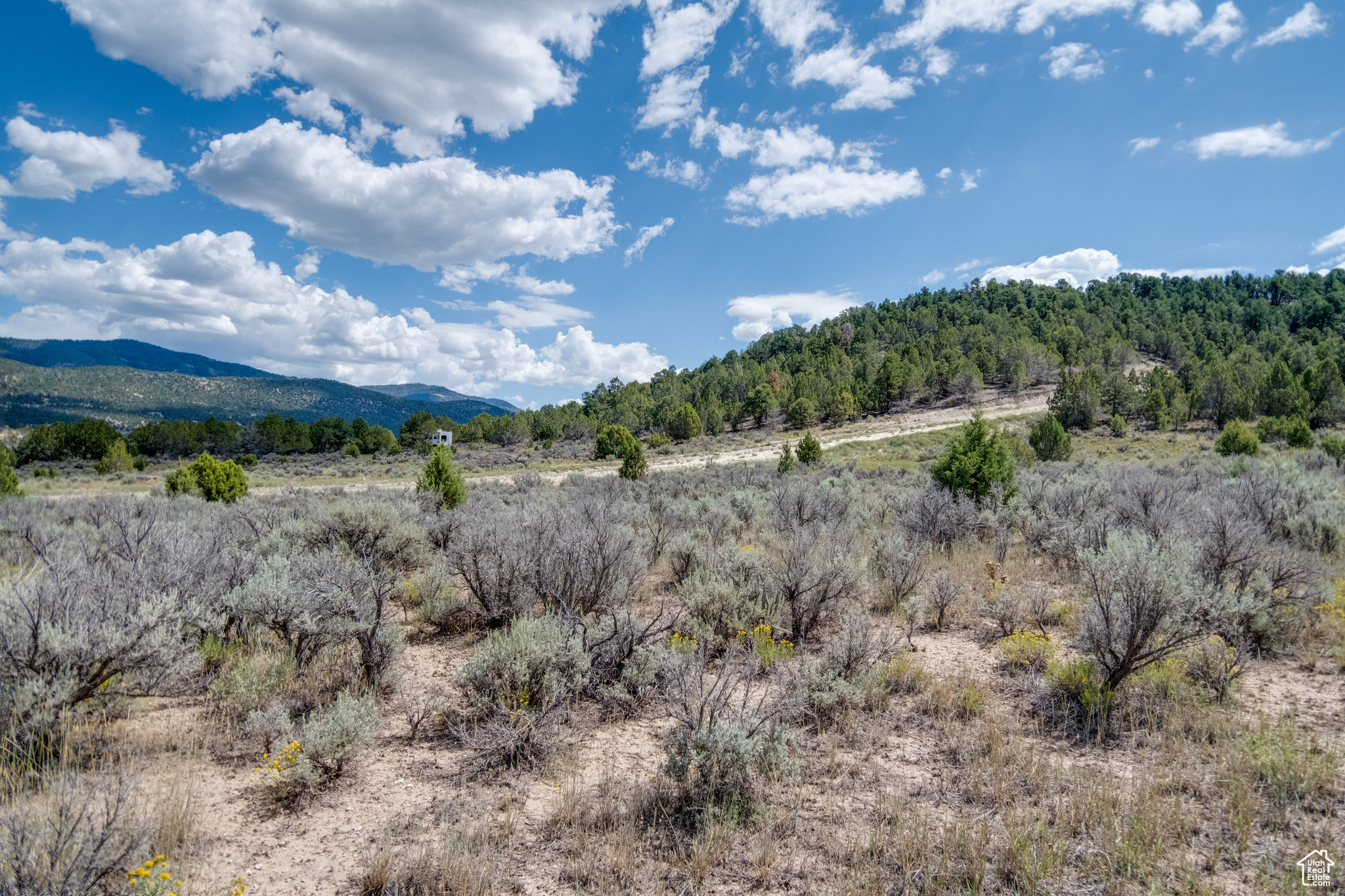 BLACKHAWK MNT - Land