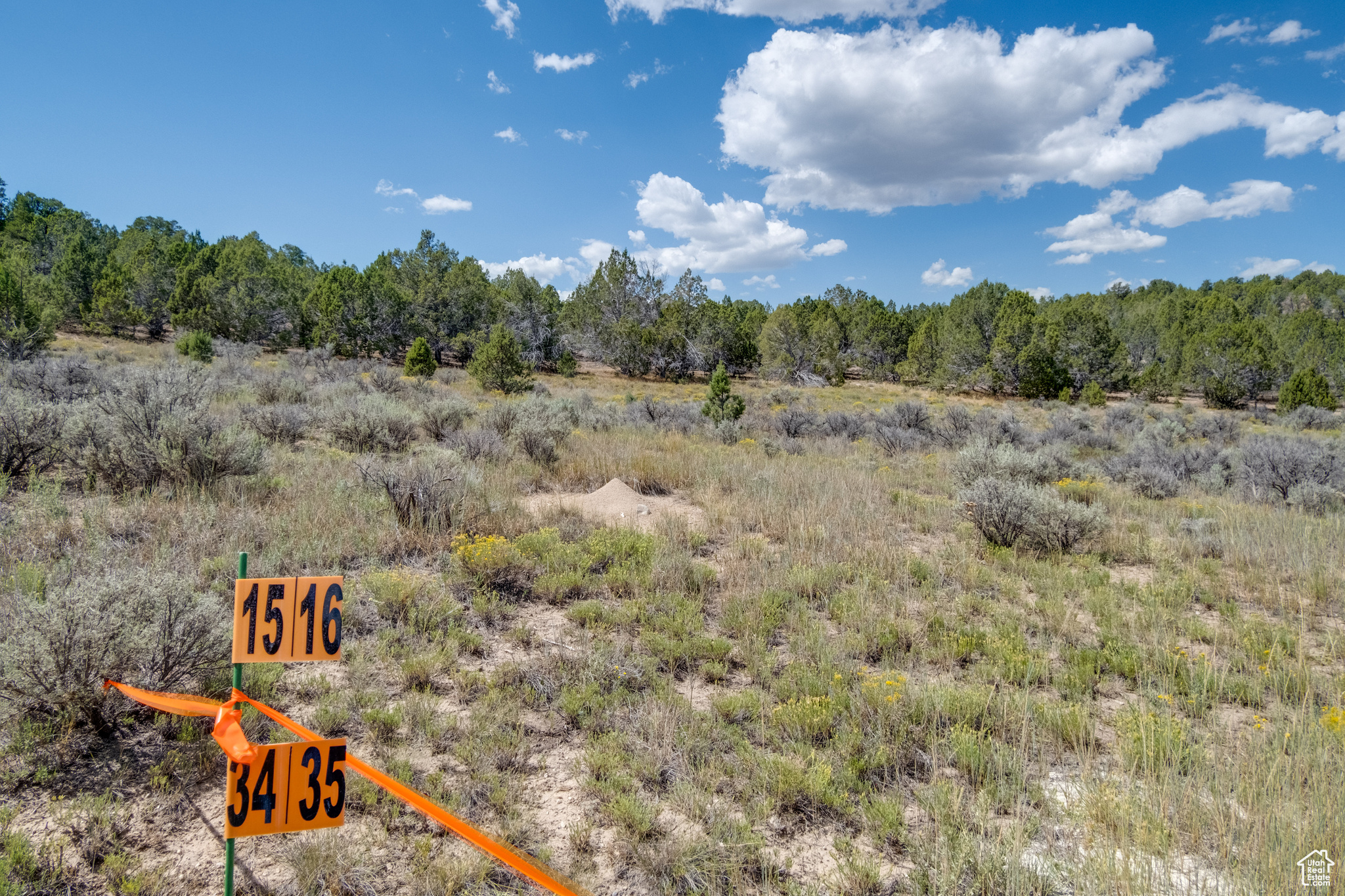 BLACKHAWK MNT - Land