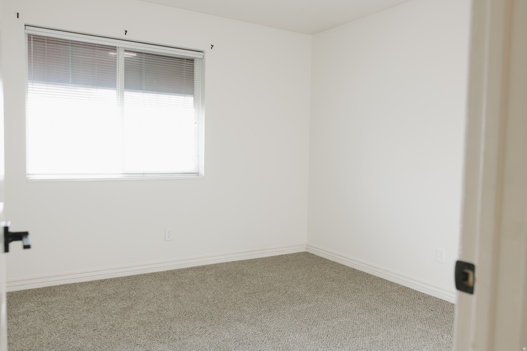 FRANKLIN PARK CONDO - Residential