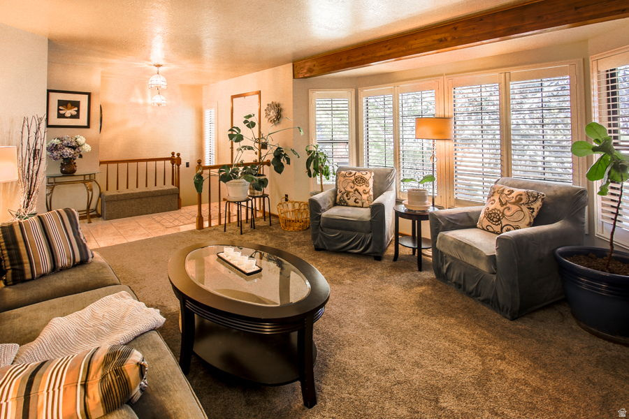 LAKEVIEW HEIGHTS - Residential