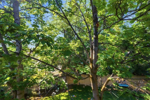 Tiny photo for 820 E 5600 S, South Ogden, UT 84405 (MLS # 2177260)