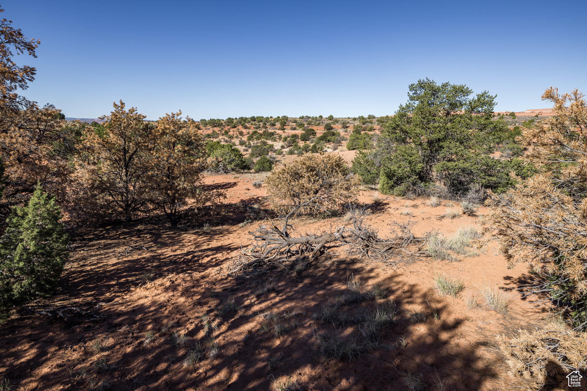 WILSON ARCH RESORT COMMUNITY - Land