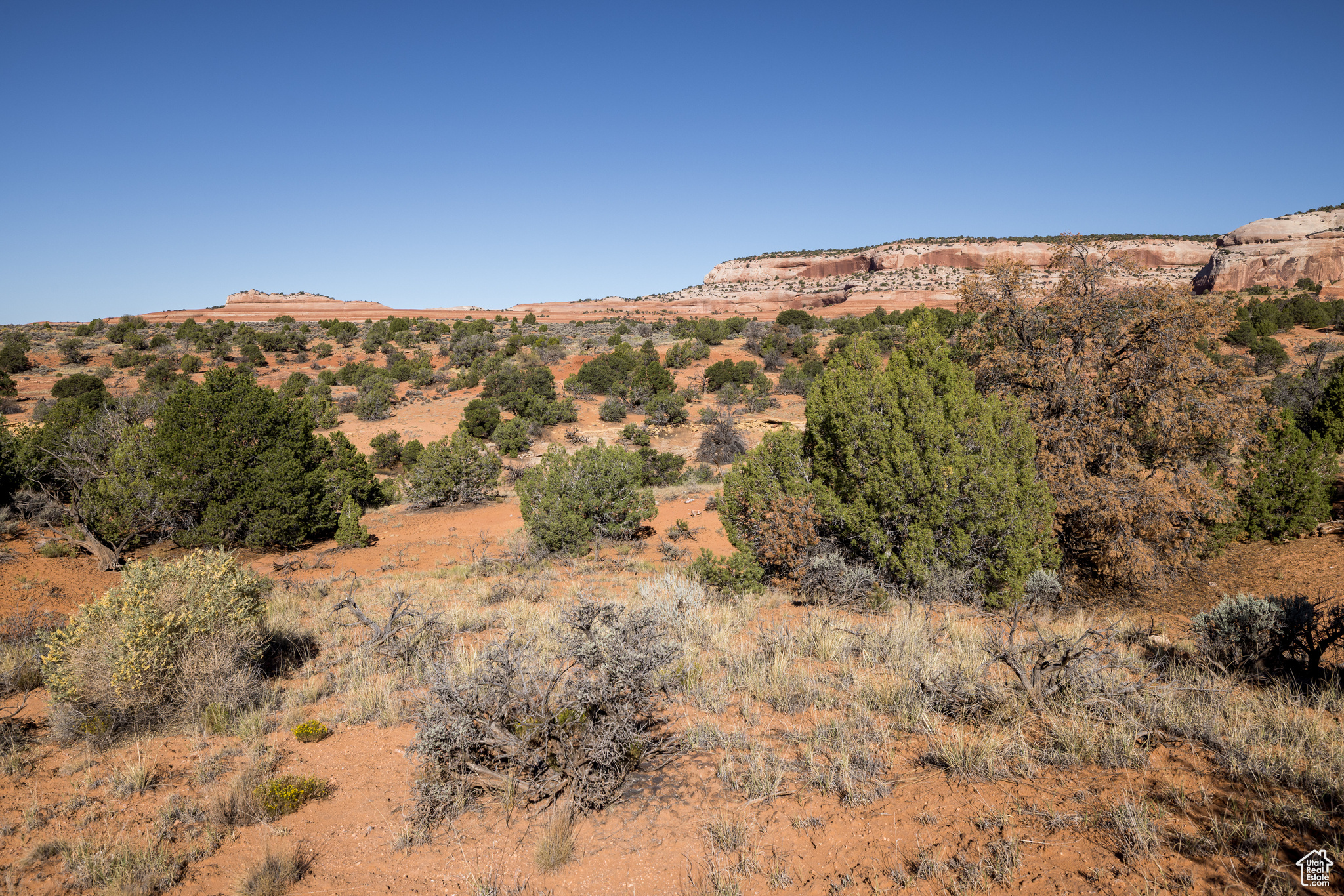 WILSON ARCH RESORT COMMUNITY - Land