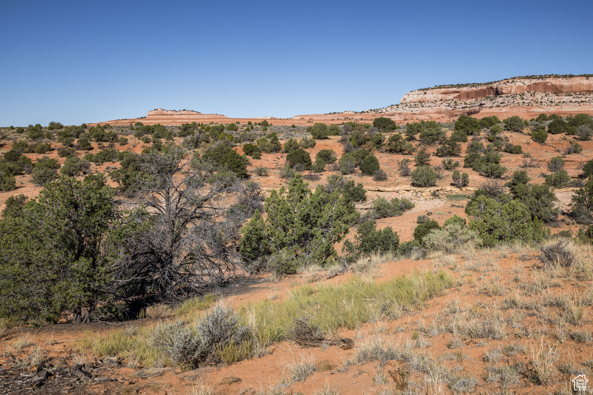 WILSON ARCH RESORT COMMUNITY - Land
