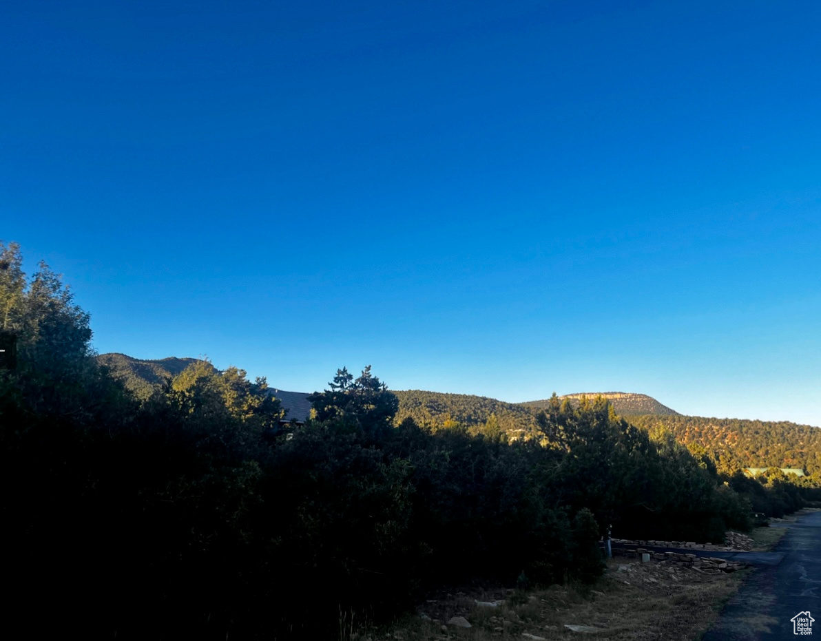 ZION RIDGE P.U.D. - Land