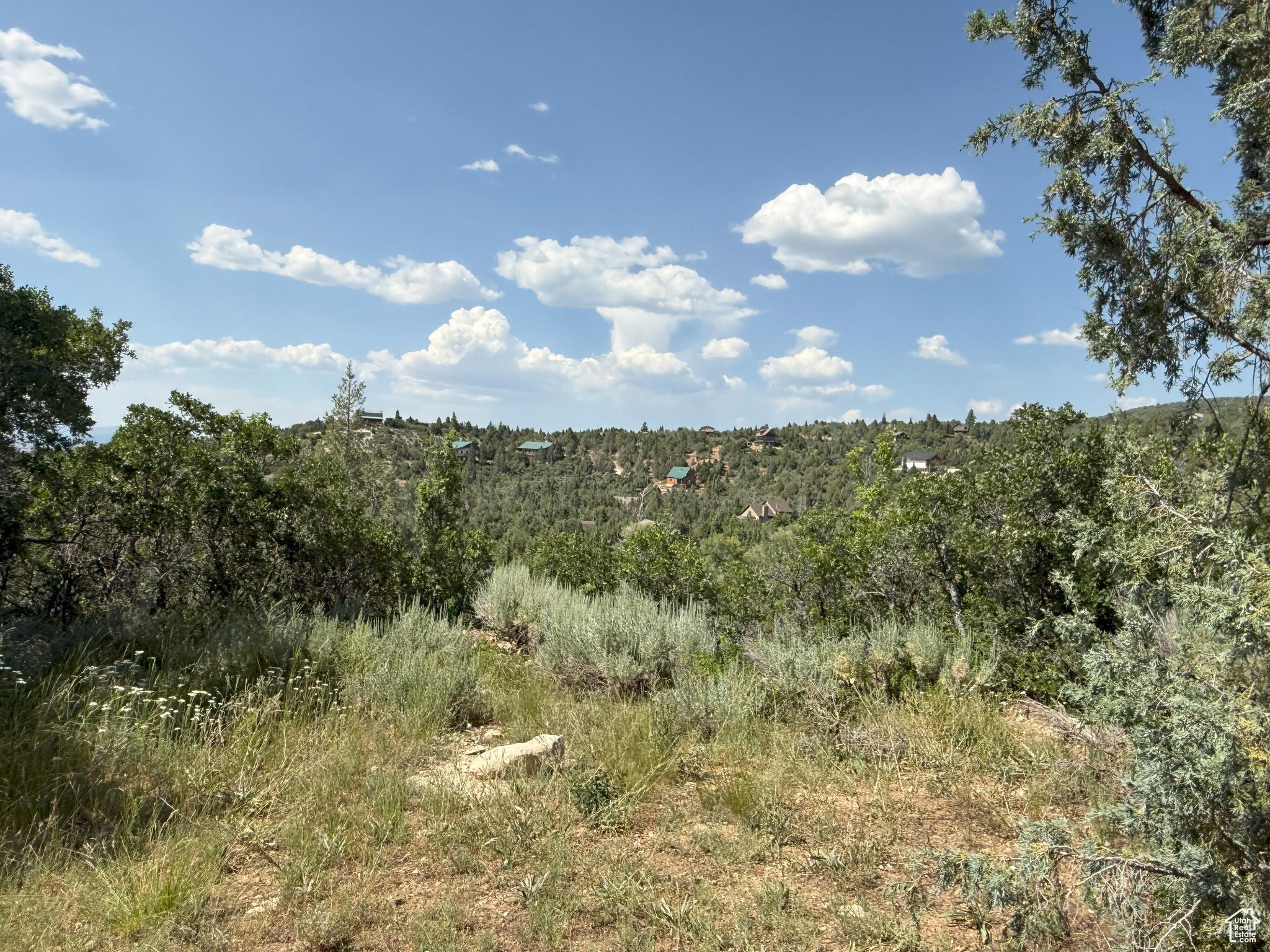 PINE CREEK MEADOWS - Residential