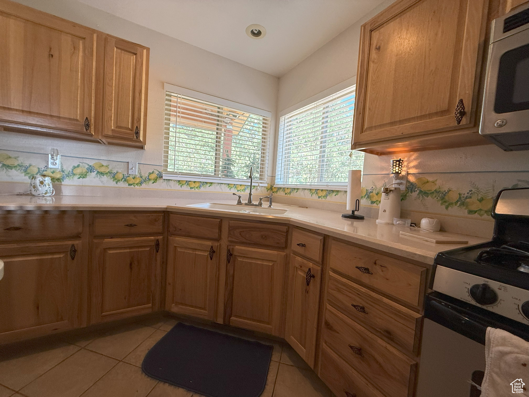 PINE CREEK MEADOWS - Residential