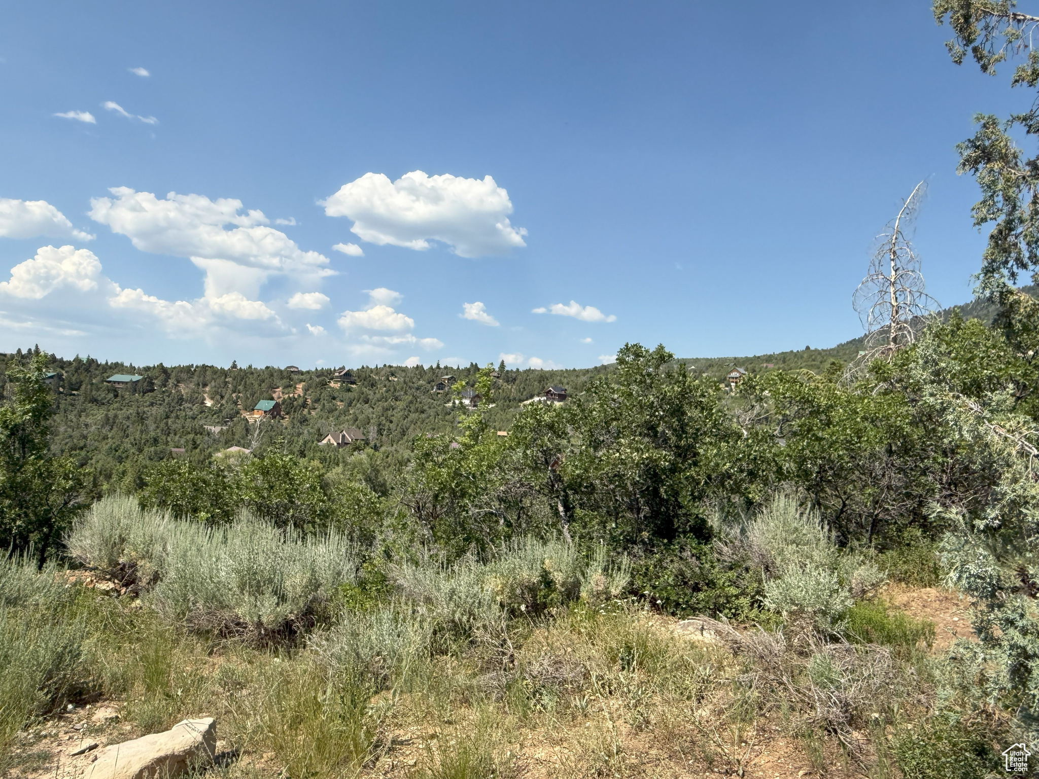 PINE CREEK MEADOWS - Residential