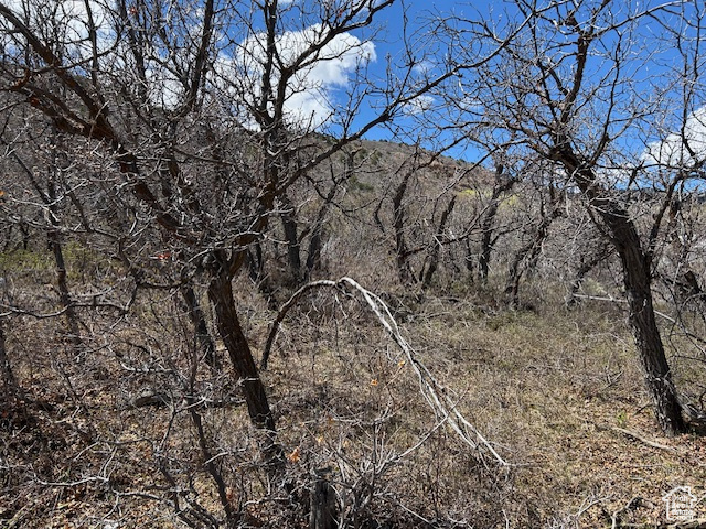 Land, Tabiona, Utah image 3