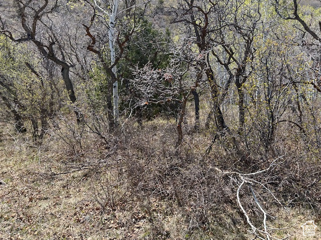 Land, Tabiona, Utah image 5