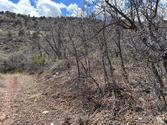 Land, Tabiona, Utah image 4