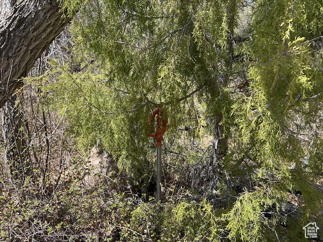Land, Tabiona, Utah image 7