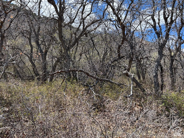 Land, Tabiona, Utah image 11
