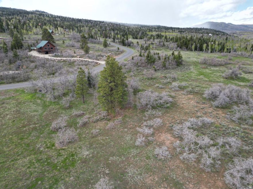 Beautiful mountain lot with diverse landscaping. This secluded lot includes meadows and wooded areas with large Pines. This premium lot will not last. Listing information deemed reliable, buyer to verify.