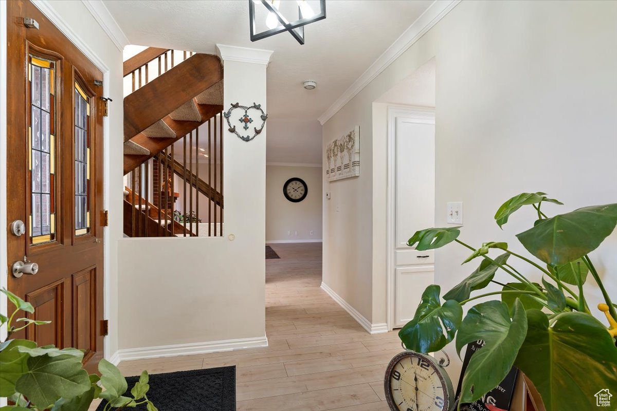 HEREFORDSHIRE CONDO - Residential
