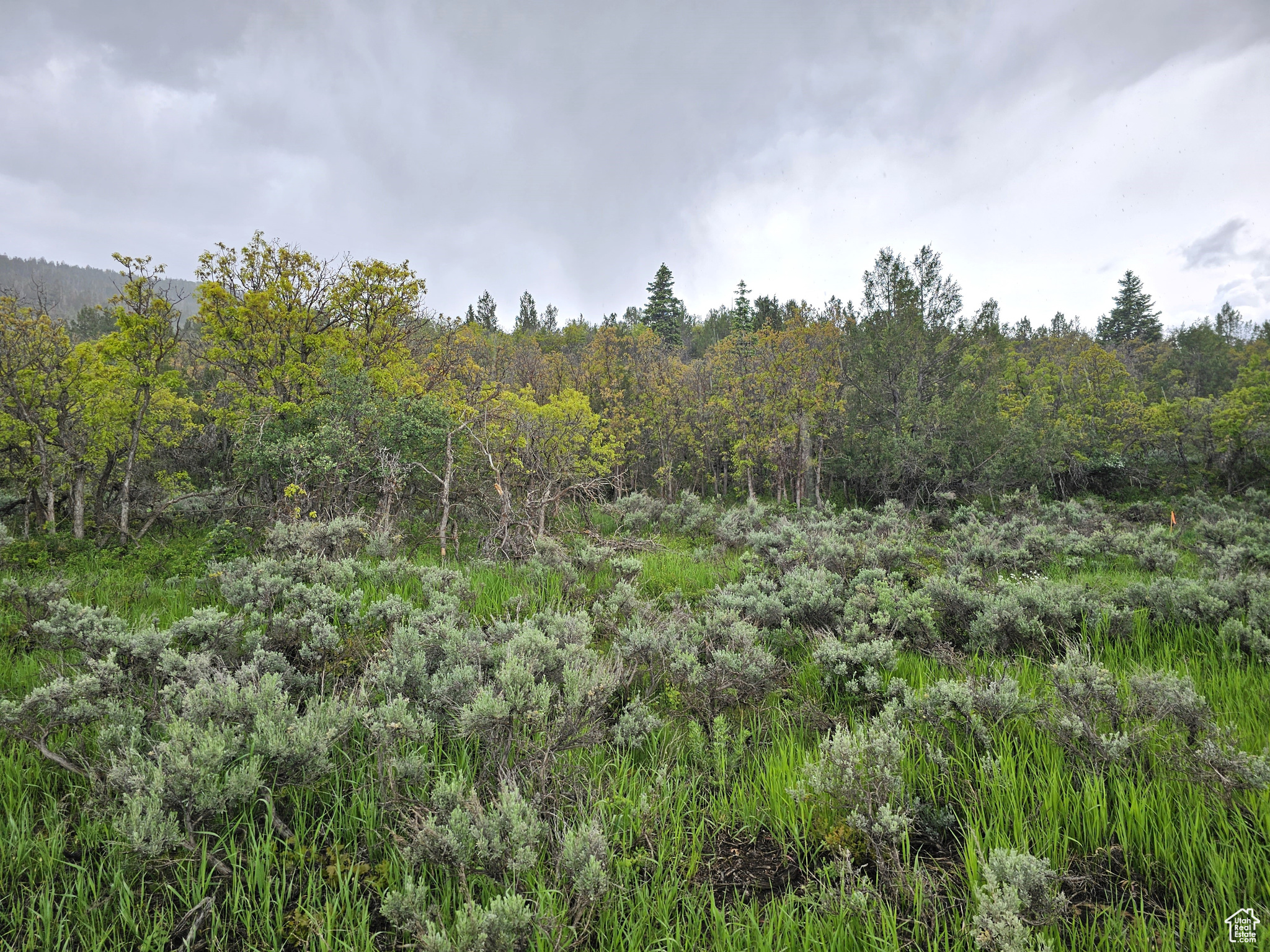 3 Whispering Pines Rd #3, Mt Pleasant, Utah image 14