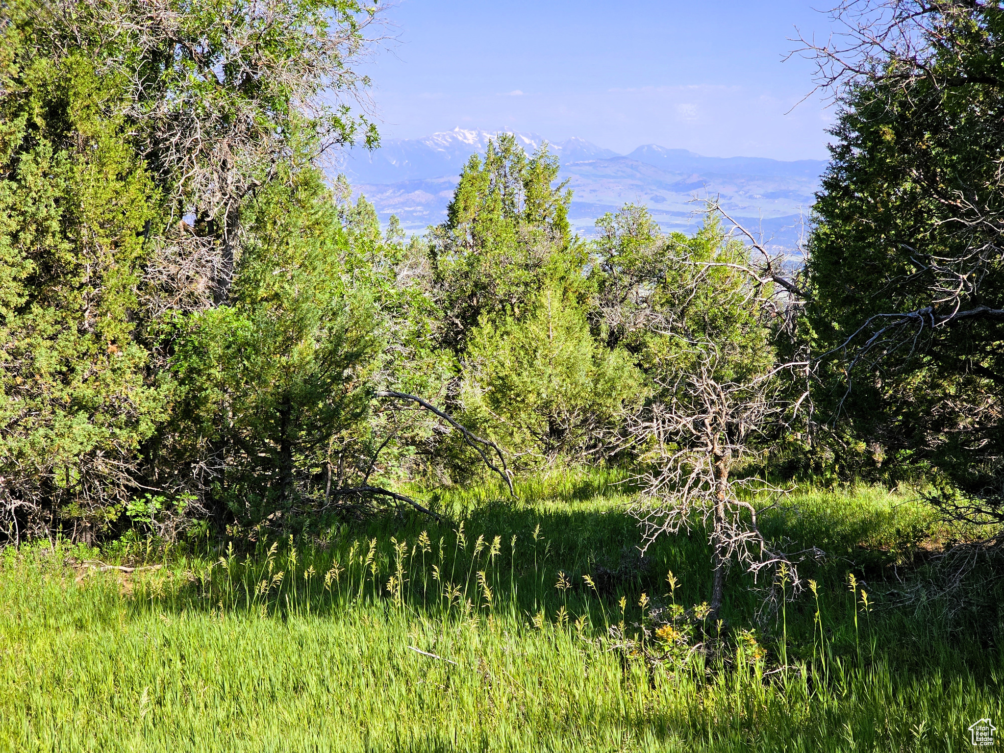 3 Whispering Pines Rd #3, Mt Pleasant, Utah image 6