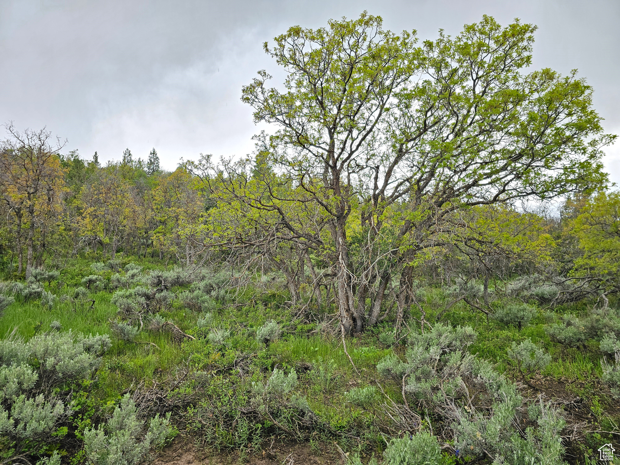 3 Whispering Pines Rd #3, Mt Pleasant, Utah image 2