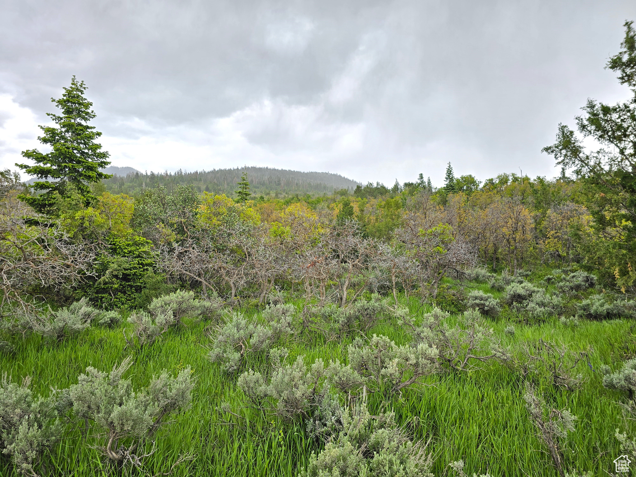 3 Whispering Pines Rd #3, Mt Pleasant, Utah image 9