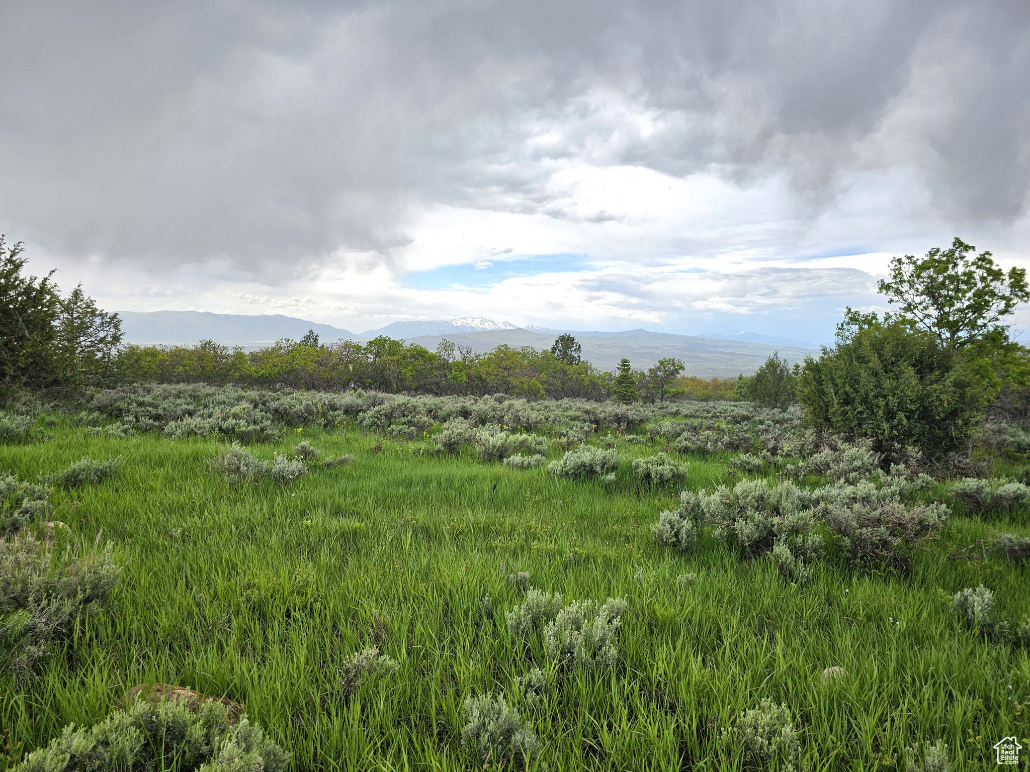 3 Whispering Pines Rd #3, Mt Pleasant, Utah image 1